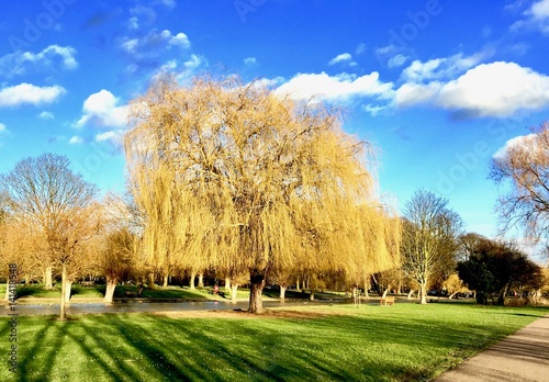 Park in Bedford