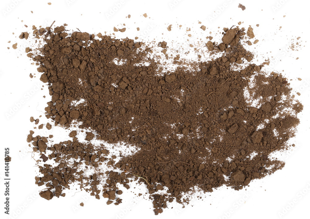 Pile dirt isolated on white background, top view
Pile dirt isolated on white background, top view