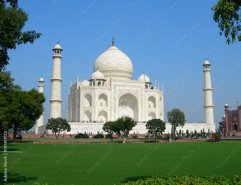 Iconic view of the Taj Mahal mausoleum in Agra, India, with the dome and the minaret towers framed by vegetation from the surrounding park.