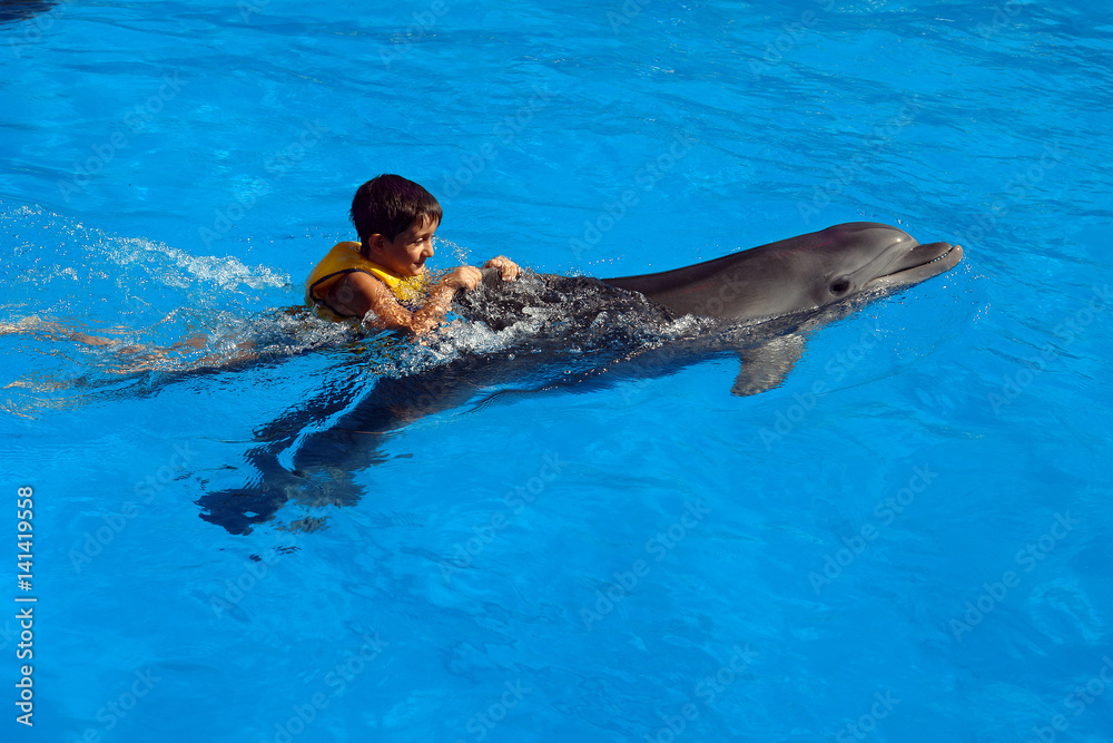 A cheerful boy in a life jacket floats on the back of a circus dolphin