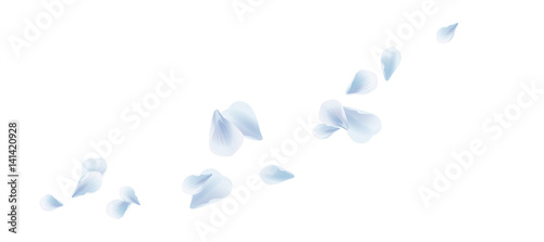 Fényképezés White Blue flying petals isolated on White background