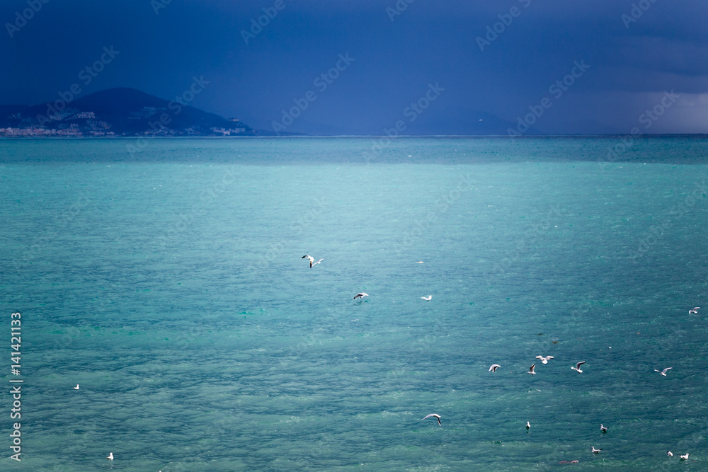 Turquoise sea with martens flying and grey sky