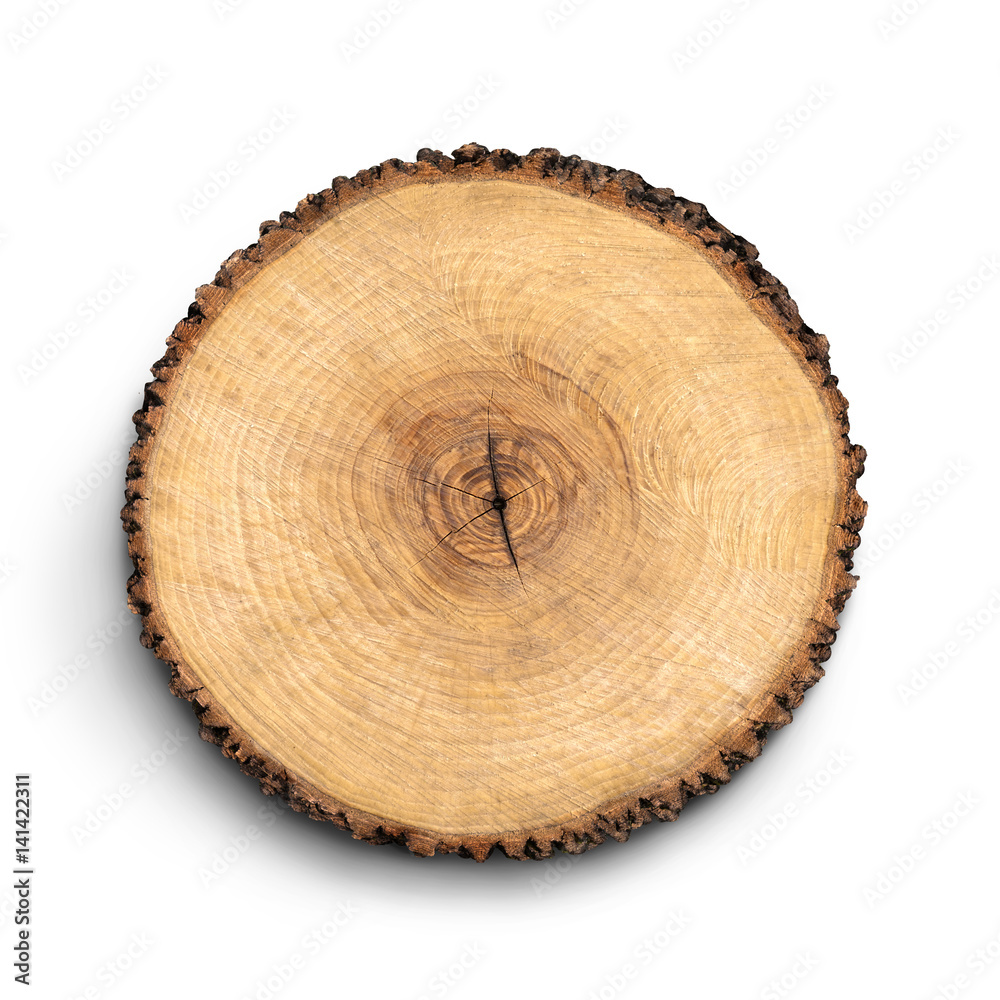 Large circular piece of wood cross section with tree ring texture pattern and cracks isolated on white background. Detailed organic surface from nature. Large circular piece of wood cross section with tree ring texture pattern and cracks isolated on white background. Detailed organic surface from nature.
