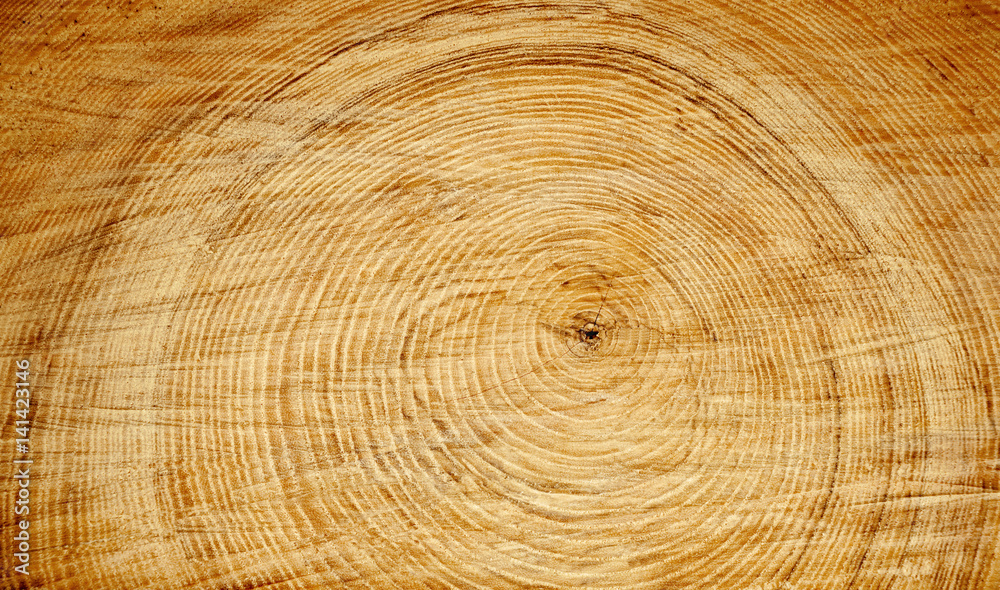 Large closeup of aged tree ring surface. Warm orange and yellow tones with rings and cracks. Large closeup of aged tree ring surface. Warm orange and yellow tones with rings and cracks.