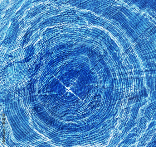 blue x-ray image of tree trunk with rings and cracks