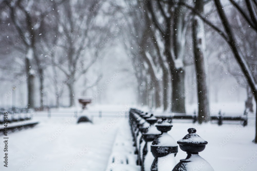 Blizzard in Central Park. Manhattan