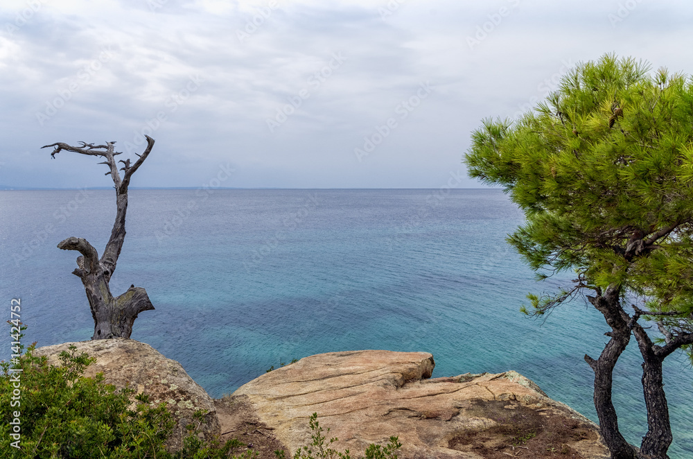 Gorgeous scenery by the sea under a cloudy sky in Sithonia, Chalkidiki, Greece Gorgeous scenery by the sea under a cloudy sky in Sithonia, Chalkidiki, Greece