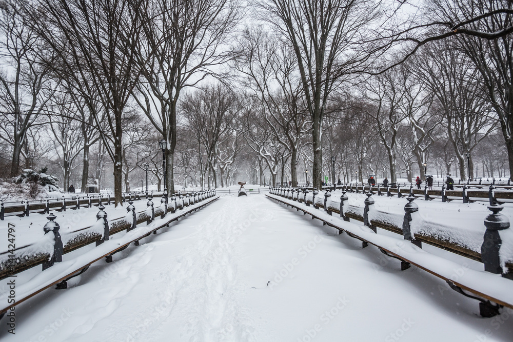 Blizzard in Central Park. Manhattan