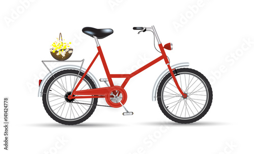 Bicycle with flowers icon design isolated.