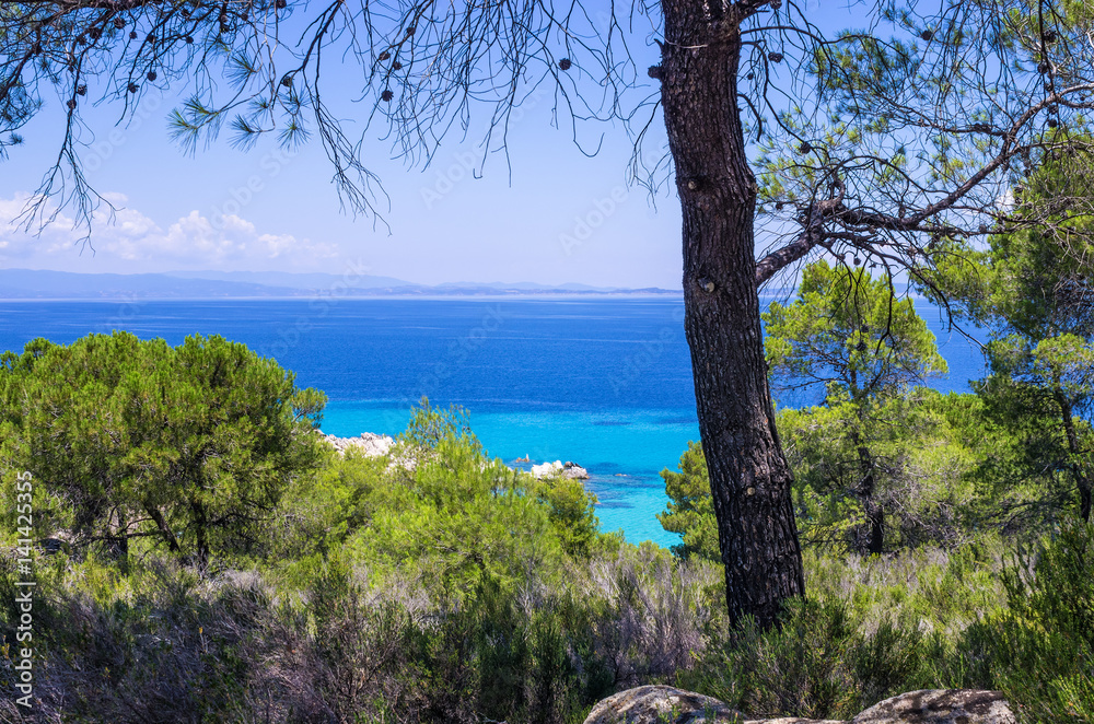 Amazing scenery by the sea in Sithonia, Chalkidiki, Greece 