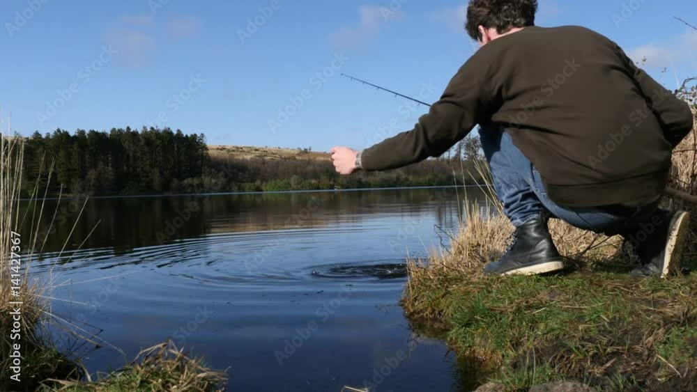 Fisherman pulls wild trout out of water Fisherman pulls wild trout out of water