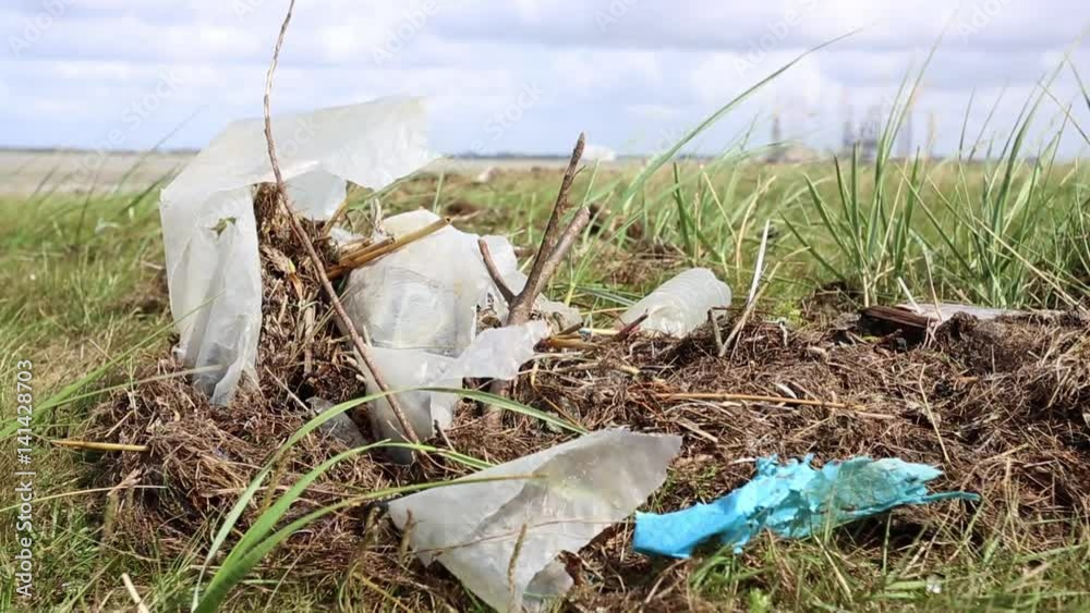 Plastikmüll im Spülsaum