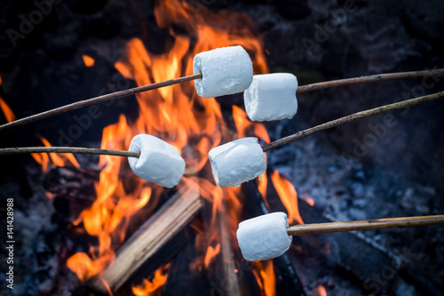 Delicious and sweet marshmallows on stick over the bonfire photo