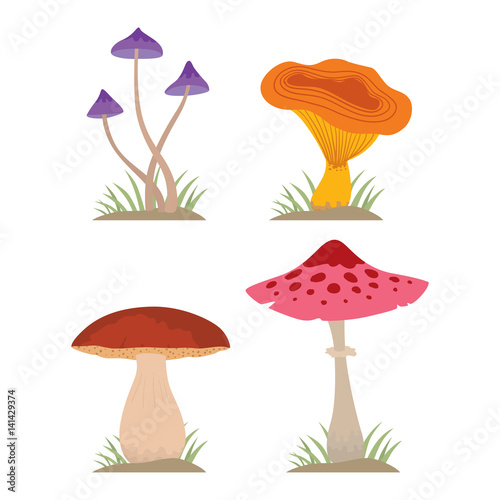 Mushrooms for cook food and poisonous nature meal vegetarian healthy autumn edible and fungus organic vegetable raw ingredient vector illustration.