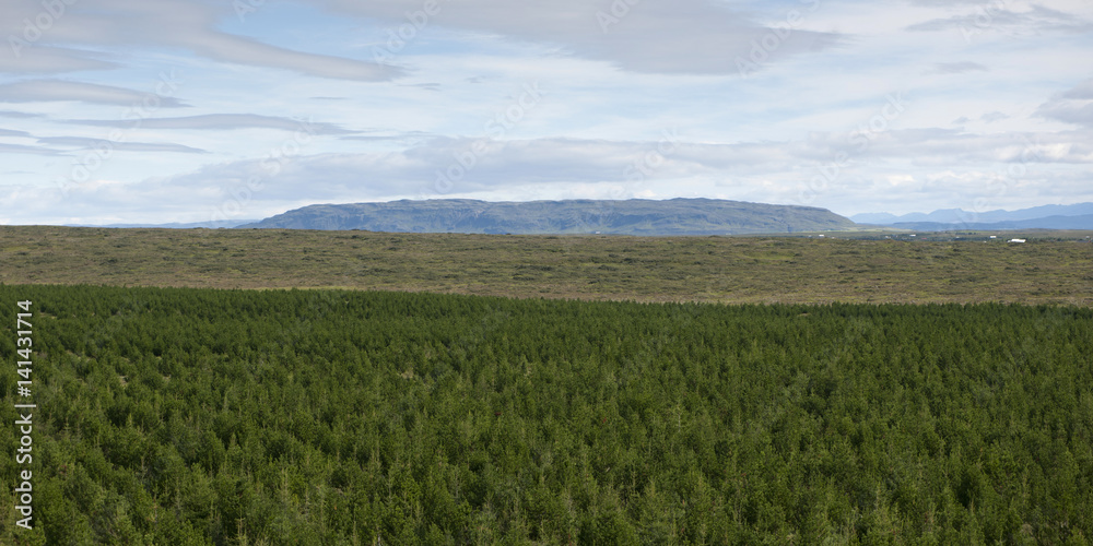 Iceland Iceland