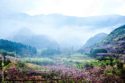 The spring countryside scenery in the mist