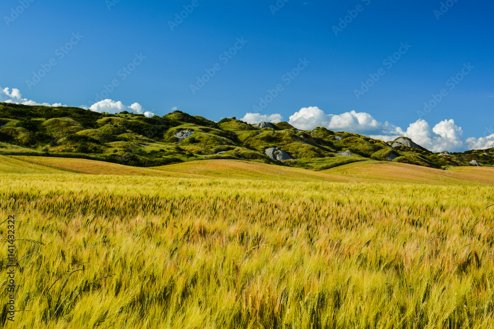 scenic views of the hills of Siena in Tuscany Italy, in spring scenic views of the hills of Siena in Tuscany Italy, in spring