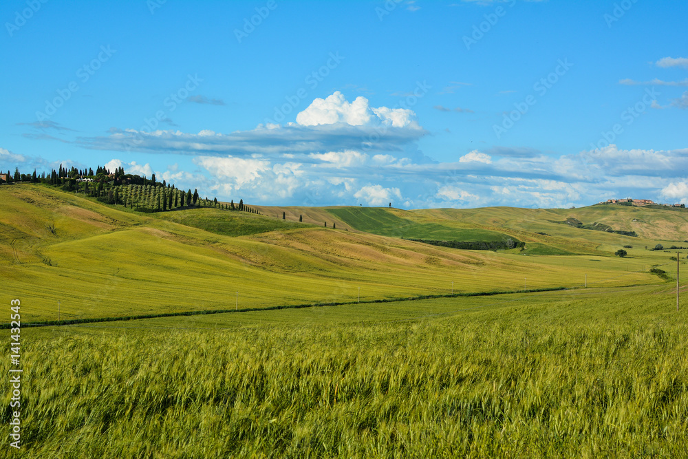 scenic views of the hills of Siena in Tuscany Italy, in spring scenic views of the hills of Siena in Tuscany Italy, in spring