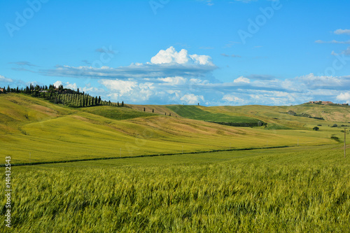 scenic views of the hills of Siena in Tuscany Italy, in spring