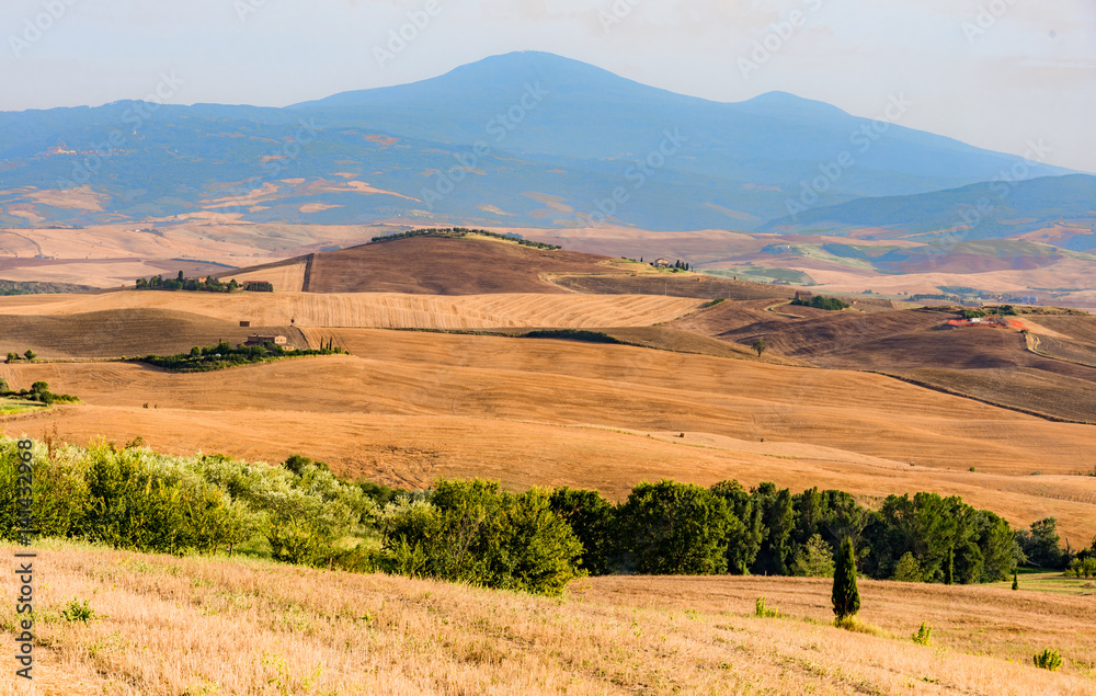 Fototapeta premium panorama of the Tuscan land in Italy