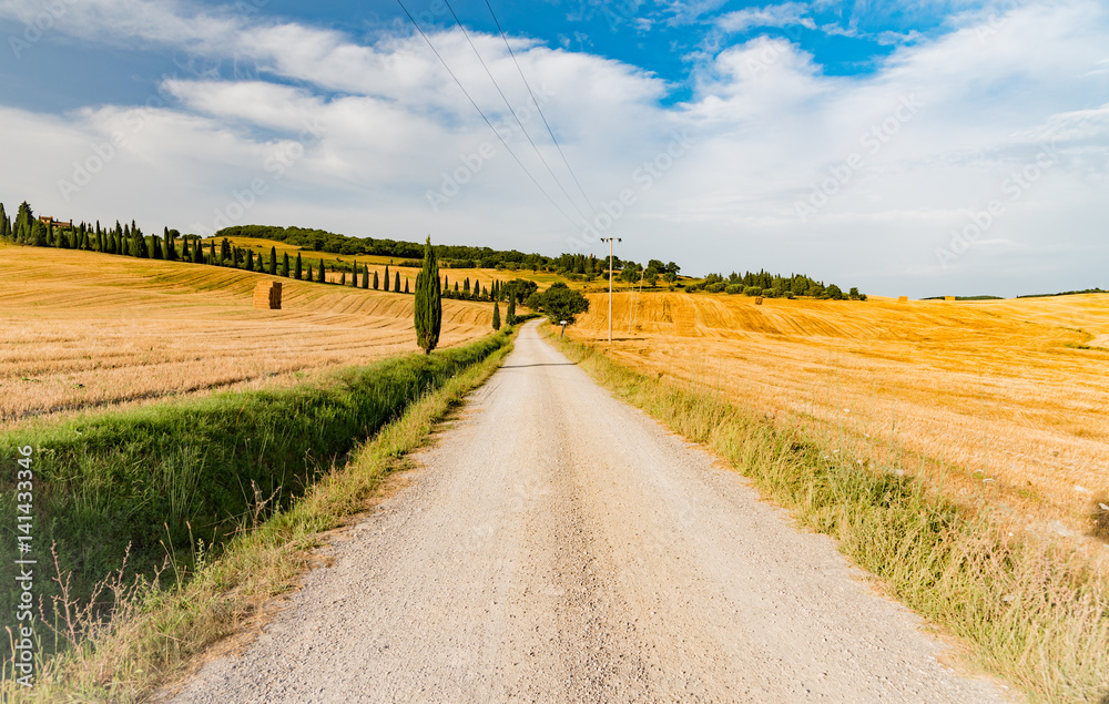 Naklejka premium panorama of the Tuscan land in Italy