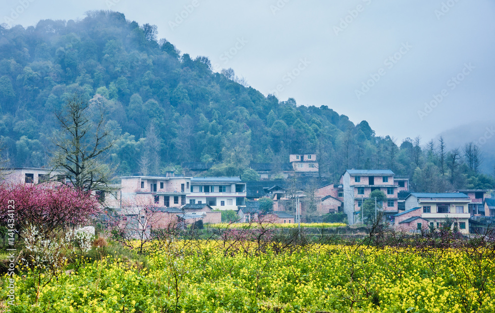 The colorful countryside scenery in the mist