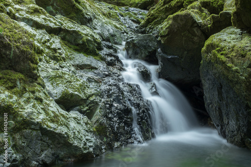 Cataract Falls flowing in winter. Mount Tamalpais State Park, Marin County, California, USA