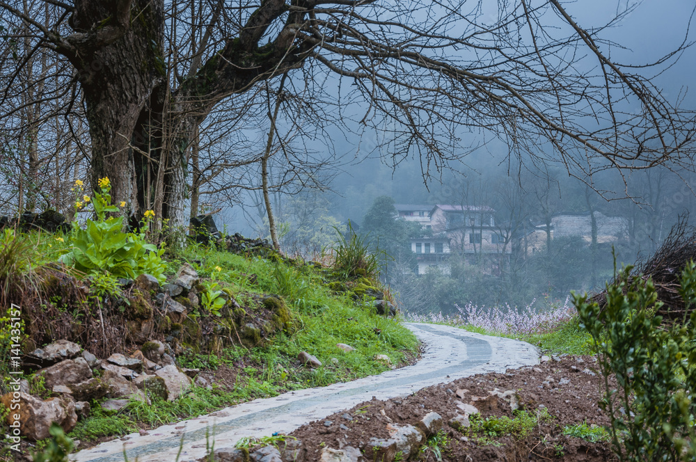 The beautiful countryside scenery in the fog The beautiful countryside scenery in the fog