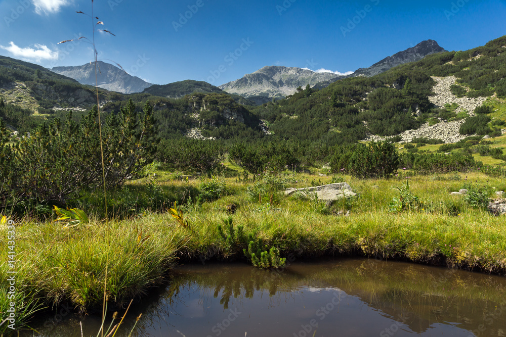 Panoramic view of Banderishki Chukar Peak and mountain river, Pirin Mountain, Bulgaria