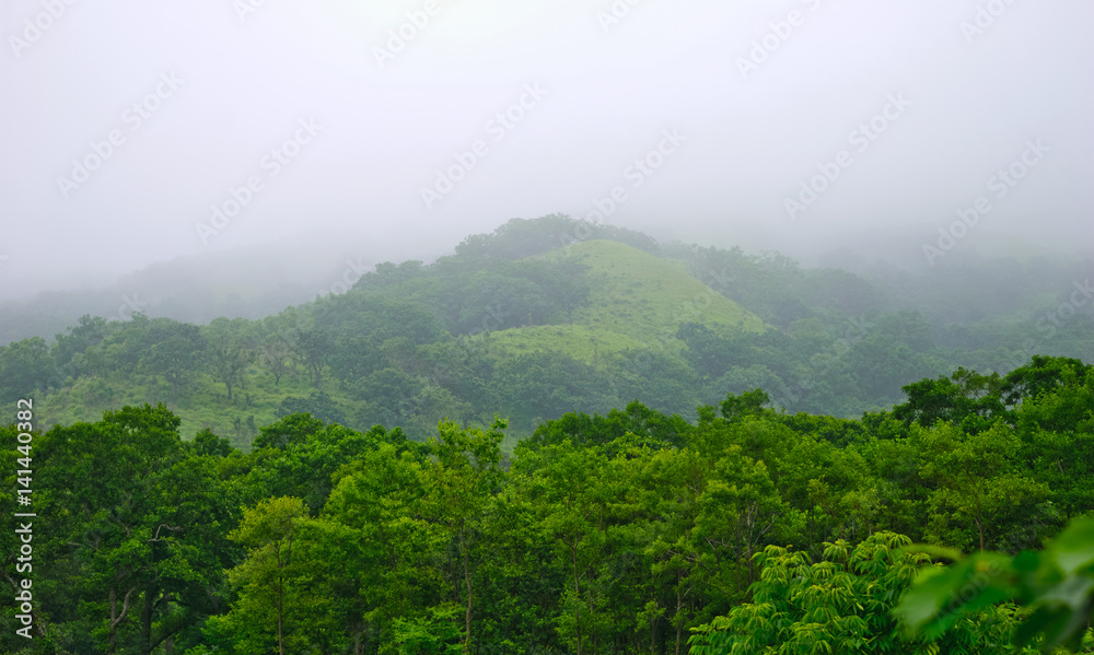 Obraz premium Green hills in the morning mist