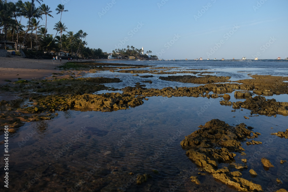 Praia do Forte - Bahia, Brazil Praia do Forte - Bahia, Brazil
