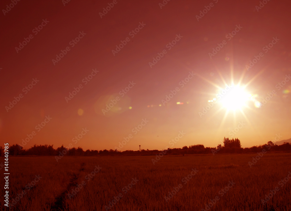 Fototapeta premium sky
