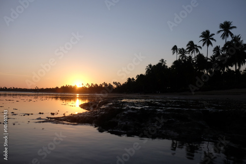 Praia do Forte - Bahia, Brazil