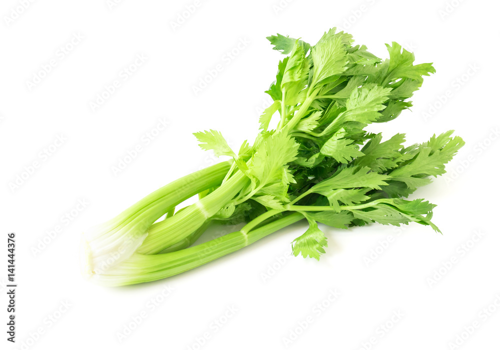 Fresh celery vegetable on white background, healthy food concept Fresh celery vegetable on white background, healthy food concept