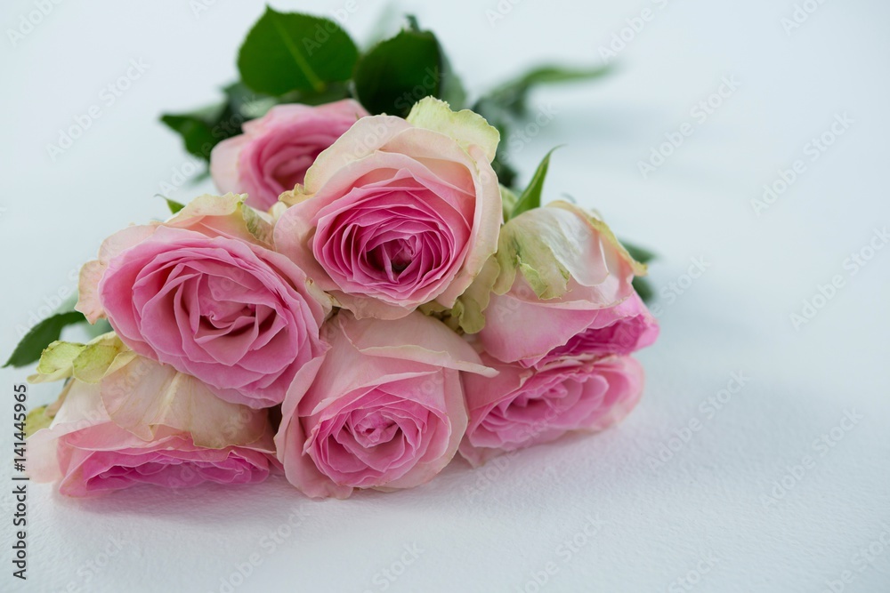 Obraz premium Bukiet róż na białym tle