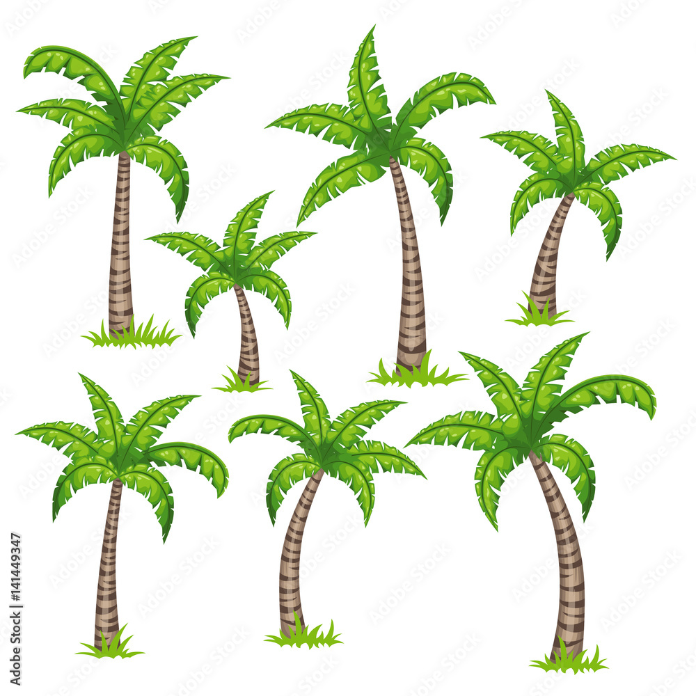 Set of different tropical palm trees