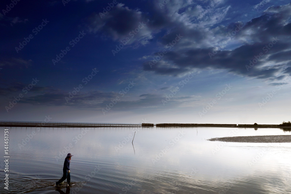Foto de Beach and mangrove forest in tropical coastal. Mangroves are ...
