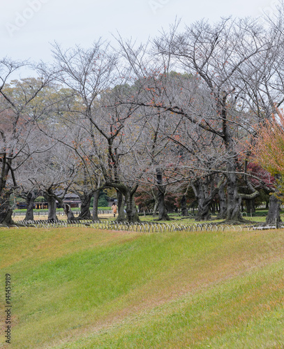 Korakuen garden in Okayama, Japan © boonsom