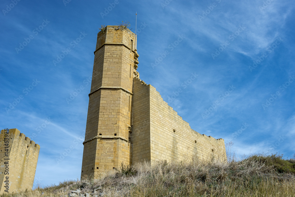 Ruins of the lookout tower (center of the picture) and Homage tower (on the left) of the Uncastillo Castle. It is a historic town and municipality in the province of Zaragoza, Aragon, eastern Spain