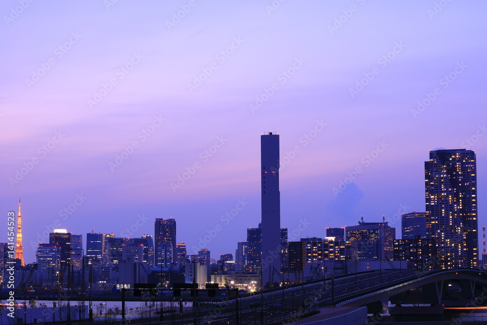 東京夜景 東京夜景