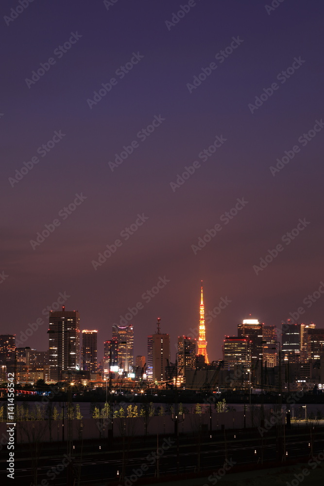 Fototapeta premium 東京夜景