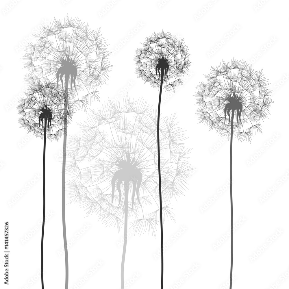 Naklejka Tło z Dandelions