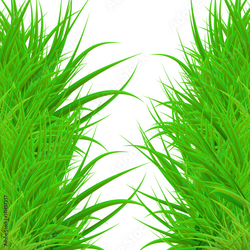 Realistic Vector Grass
