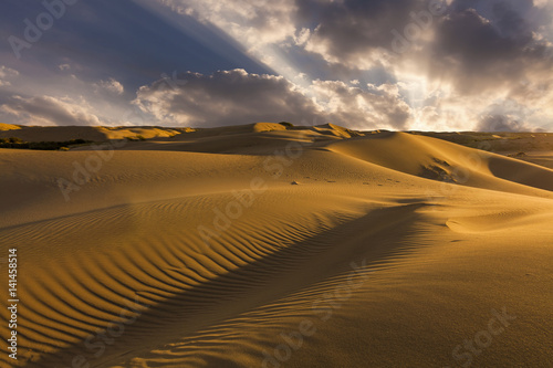 Beautiful views of the desert landscape. Gobi Desert. Mongolia.