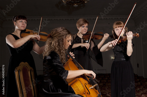 Musician play violin on dark