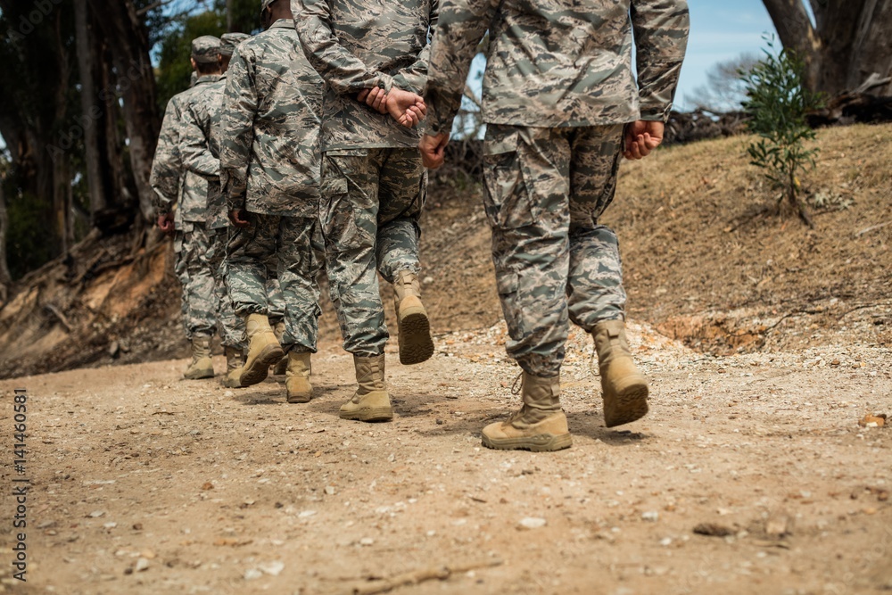 Fototapeta premium Group of military soldiers in a training session
