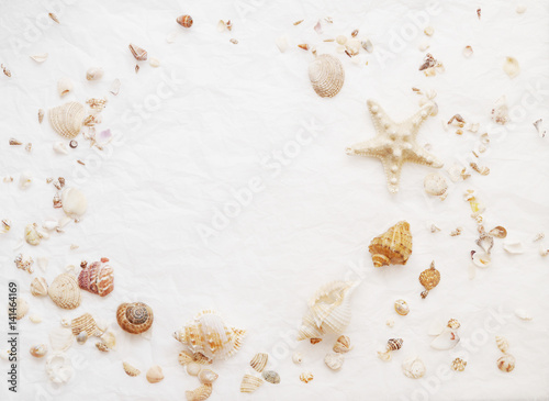 Seashell pattern on a white background. Frame with a nautical theme. The background of crumpled paper.
