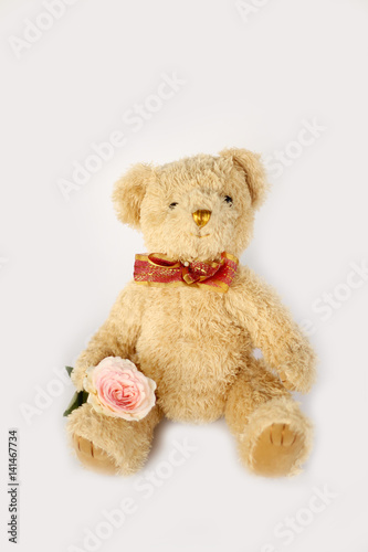 Cute teddy bear doll © swisty242