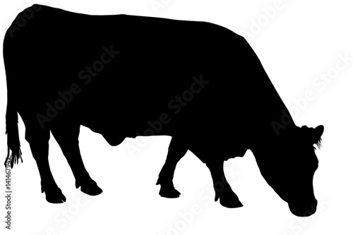 Leinwand Poster silhouette de vache