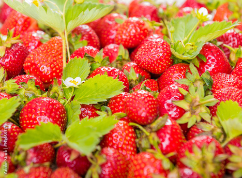Pattern of fresh red strawberry with leaves